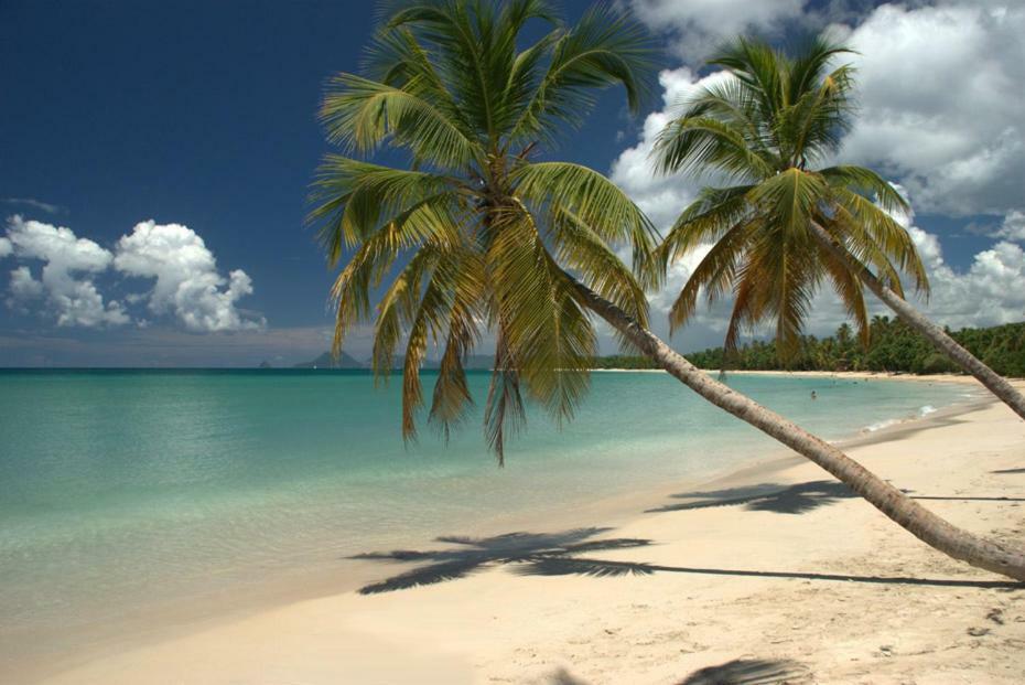 Holidays In Martinique - Ravenala Sainte-Anne Exteriör bild