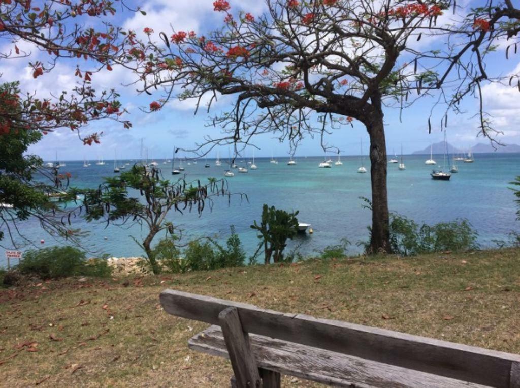 Holidays In Martinique - Ravenala Sainte-Anne Exteriör bild